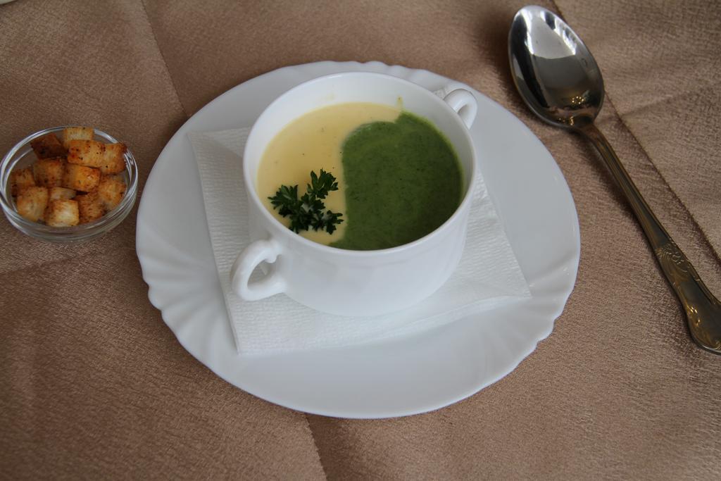 Reykyavik Mountain Hotel Almaty Talghar 外观 照片